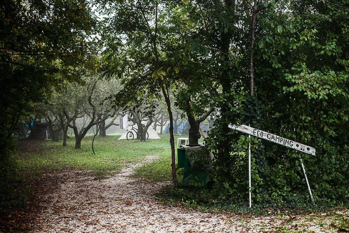 ホテル Holiday Park - Camping Near Venice ゼラリーノ エクステリア 写真